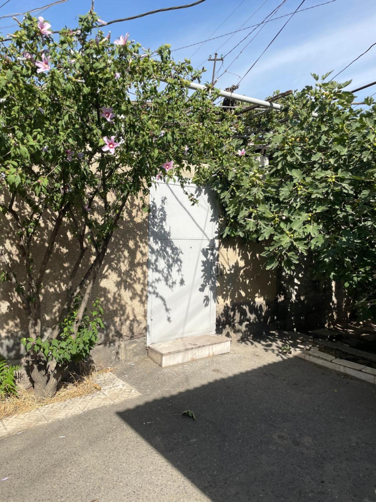 Apartment In The City Center With The Garden يريفان المظهر الخارجي الصورة